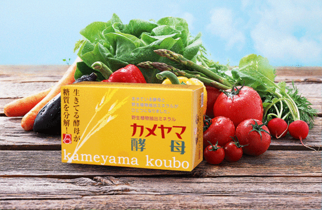 カメヤマ酵母