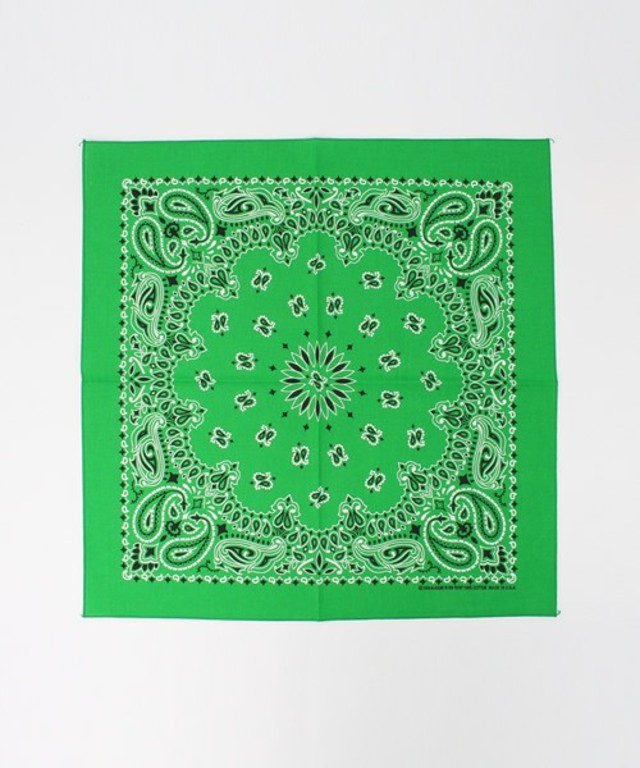 ROSE BUD (CAROLINA) B22PAI