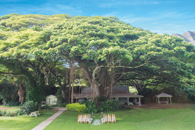 クラシコウエディング