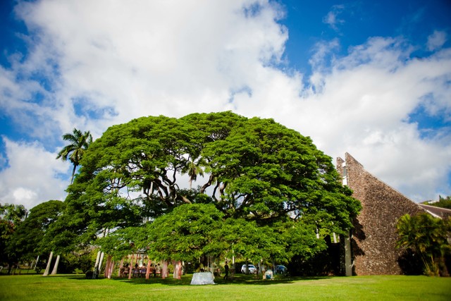 Heritage Bridal Collection