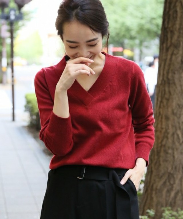 Vネックプルオーバー