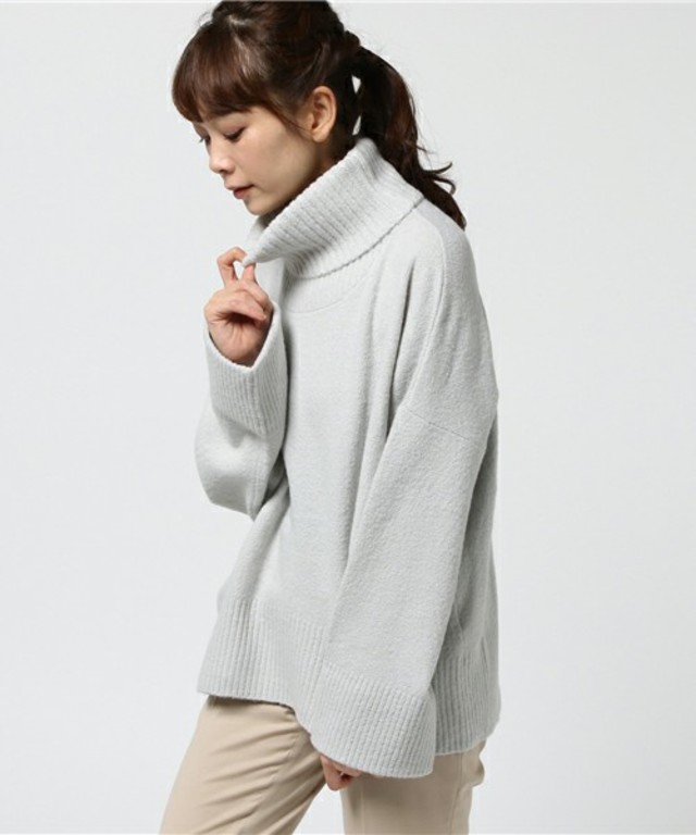 ビックスリーブタートル