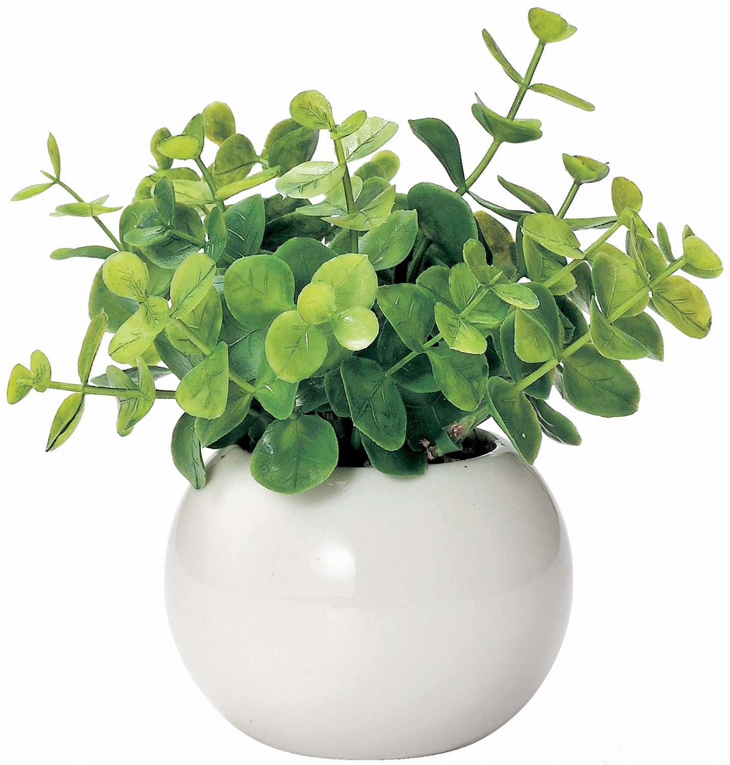 かわいい まあるい 光触媒 インテリア グリーン ユーカリ