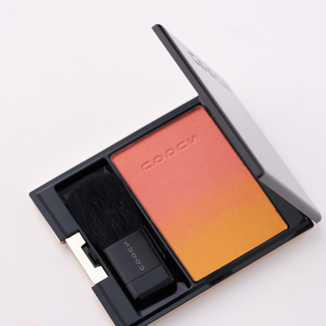 スック ピュア カラー ブラッシュ 101