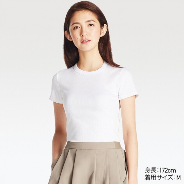 スーピマコットンリブクルーネックT（半袖）