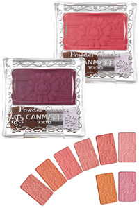 パウダーチークス