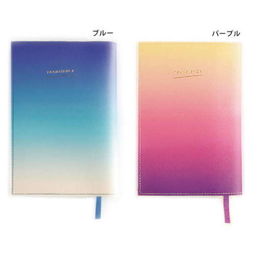 TRANSIENCE Book Cover