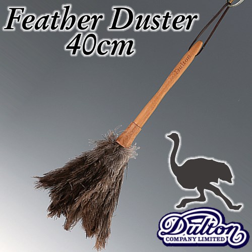 フェザーダスター 40cm