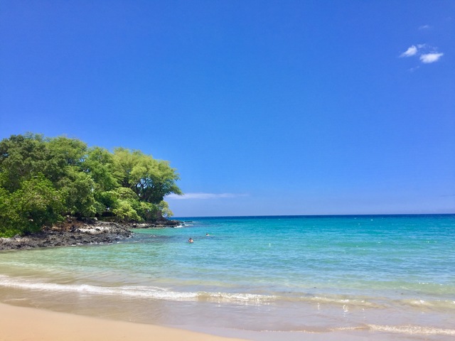 HAYATO FUKUMITSU / Instagram：@yeahts