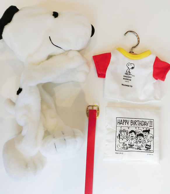 (c) Peanuts Worldwide LLC