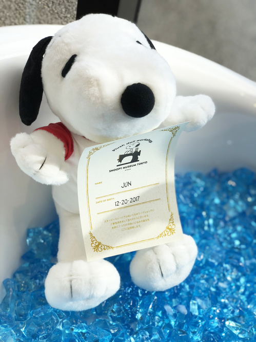 (c) Peanuts Worldwide LLC