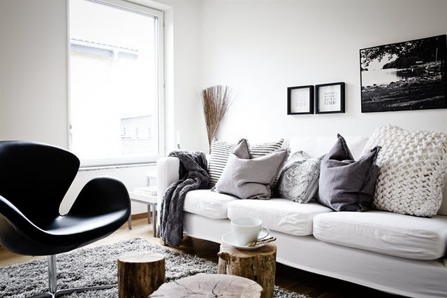 Photo by Jurgen Leckie