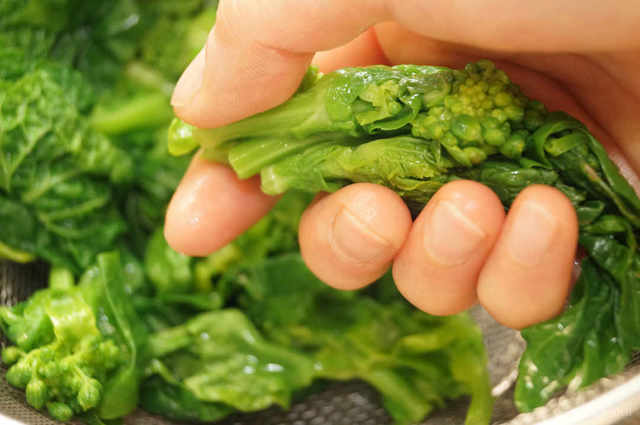 Photo by 前田未希