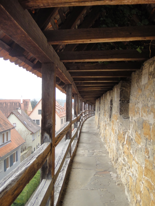 撮影：ラボートはるか