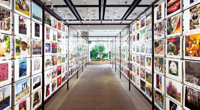 50,000人の写真展