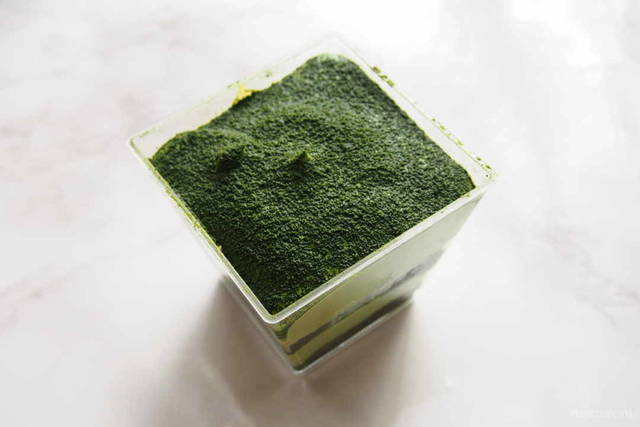 Photo by 茂山 夏子