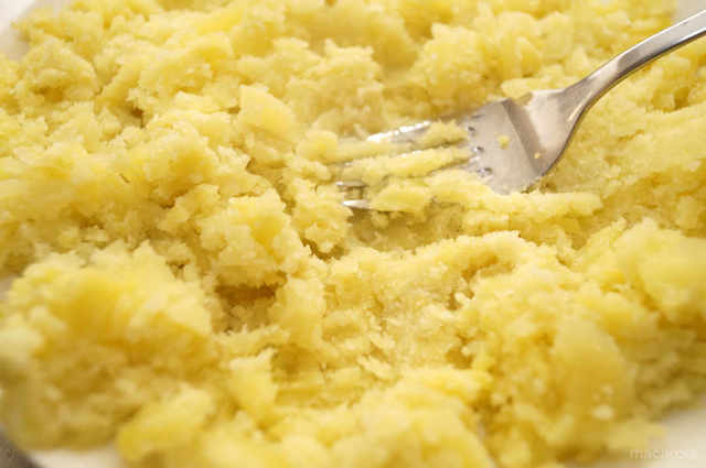 Photo by 前田未希