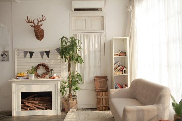 Photo by xop lu / Unsplash