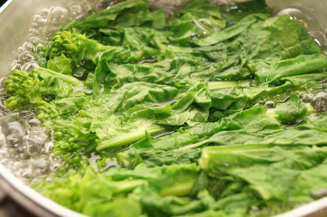 Photo by 前田未希