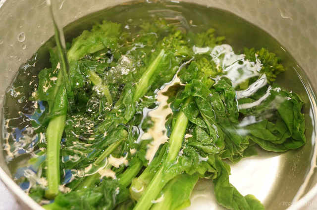 Photo by 前田未希