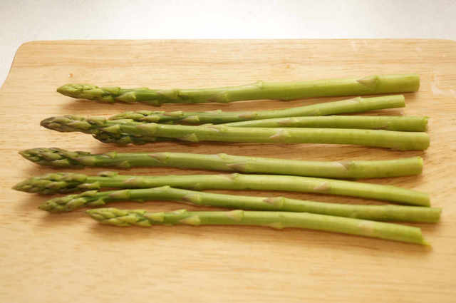 Photo by 前田未希