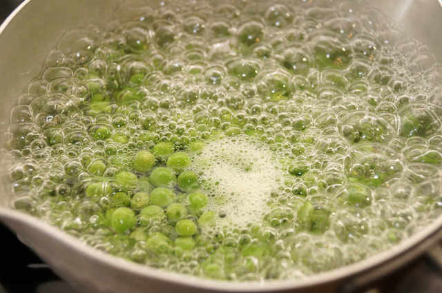 Photo by 前田未希