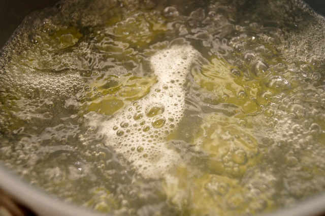 Photo by 前田未希