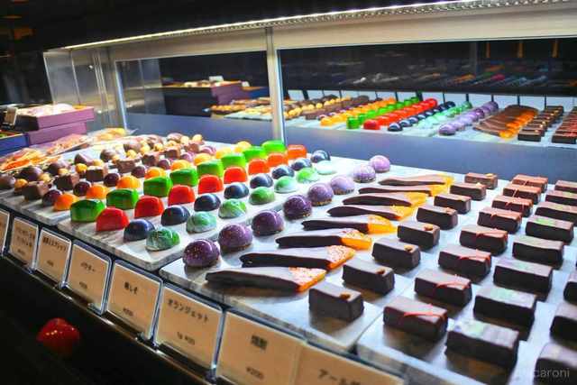 Photo by ソルティー【お塩】