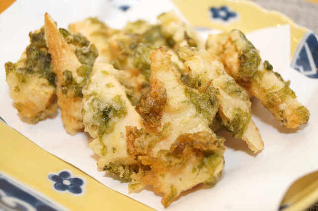 Photo by 前田未希