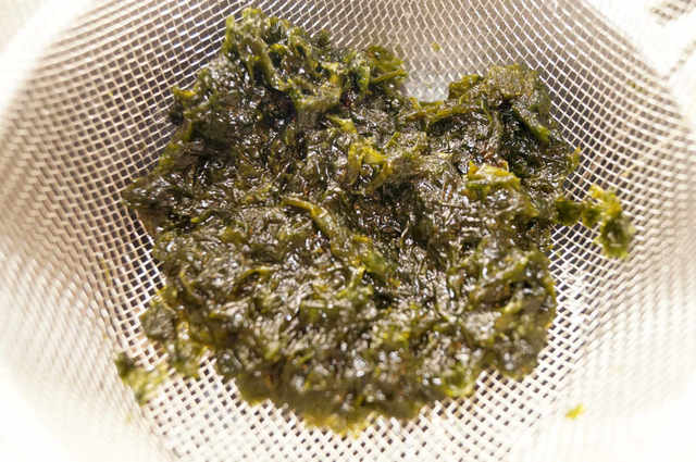 Photo by 前田未希