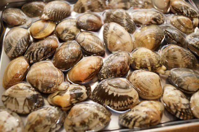 Photo by 前田未希