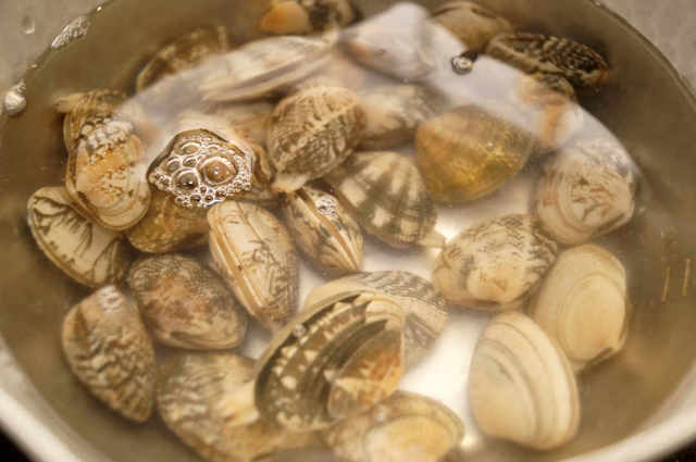 Photo by 前田未希