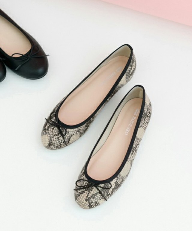 VAPPU ベーシックバレエ