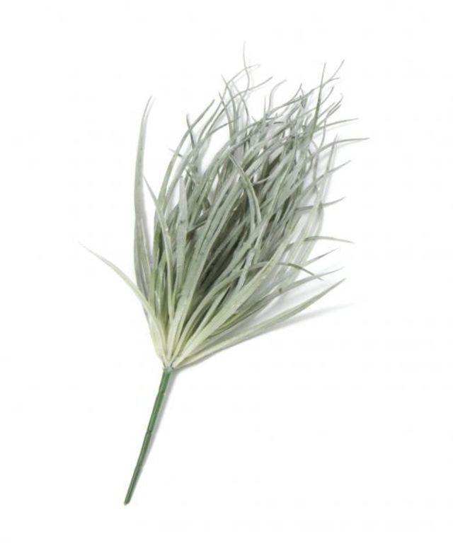 [フェイクグリーン]グラスブッシュ