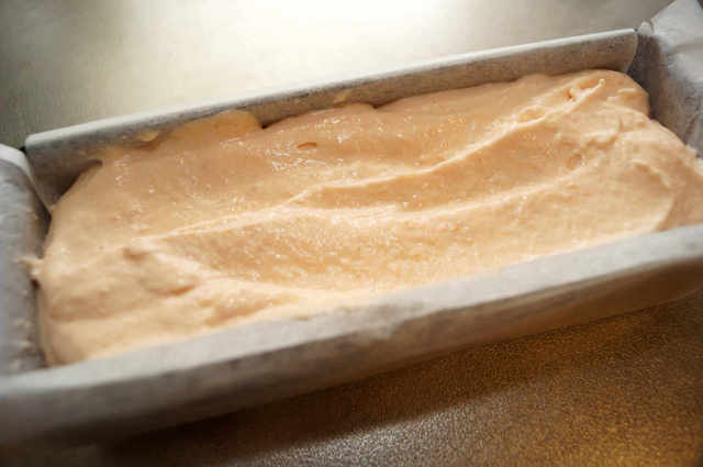 Photo by 前田未希