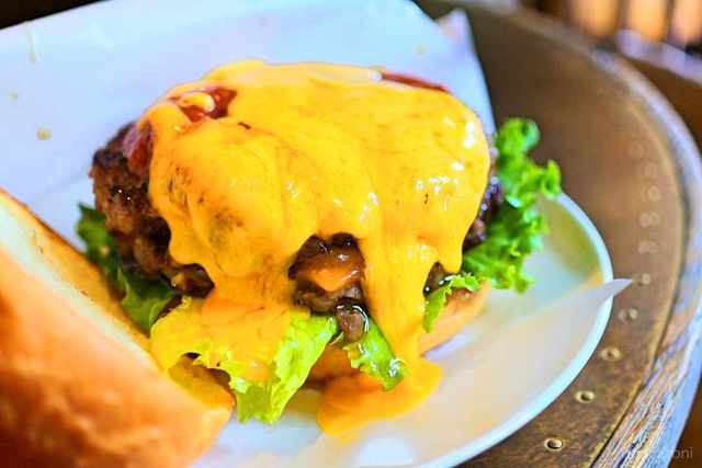 Photo by ソルティー【お塩】