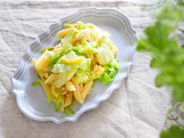 Photo by れこねこ