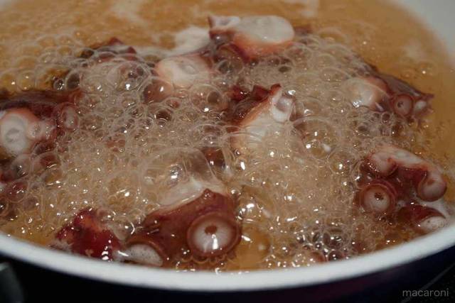 Photo by 前田未希