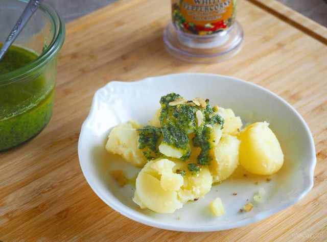 Photo by muccinpurin