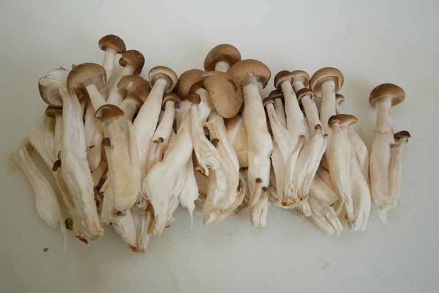 Photo by 前田未希