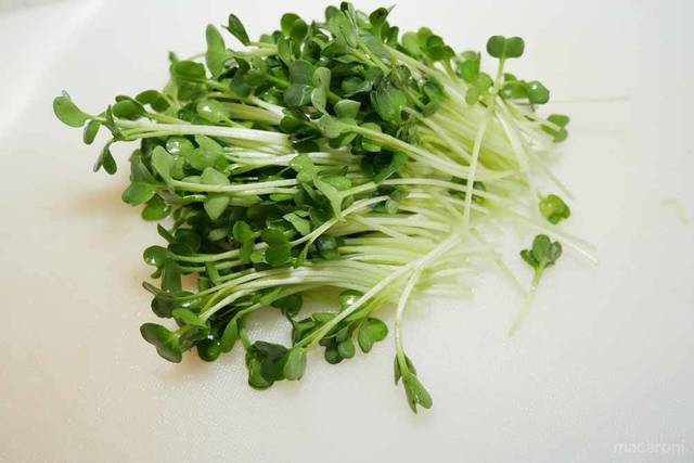 Photo by 前田未希