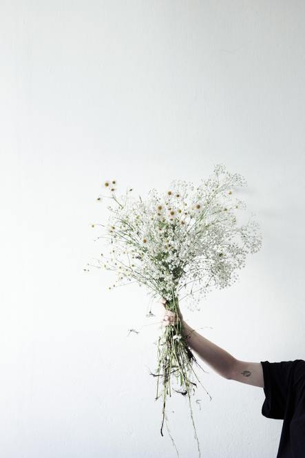 Photo by Sylvie Tittel / Unsplash