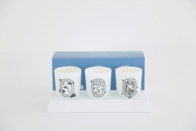 minä perhonen × diptyque