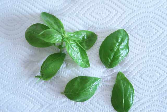 Photo by 若子みな美