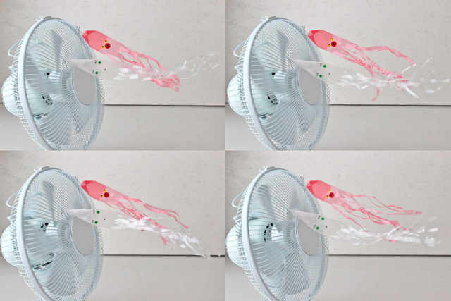 Photo by maikakokubo