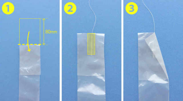 Photo by maikakokubo