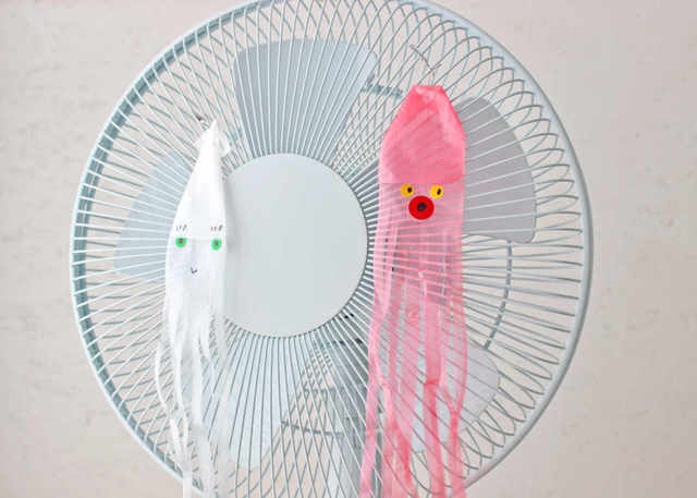 Photo by maikakokubo