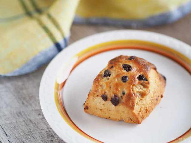 Photo by muccinpurin