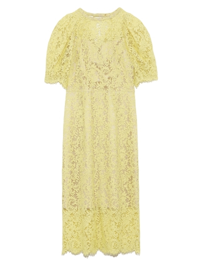 コードレースタイトワンピース