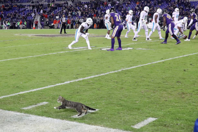 Rob Carr / Getty Images